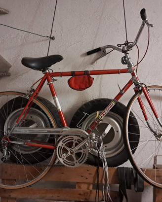 bicicletta preziosi