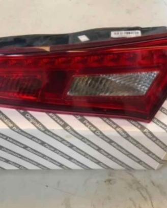 famale  post. dx Giulietta 