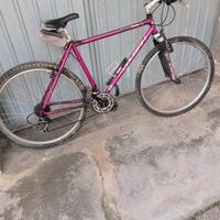 MTB leecougan ruota 26 