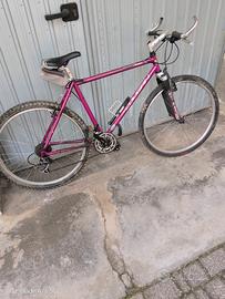 MTB leecougan ruota 26 