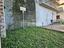 Immagine 13