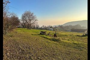 Terreno a Roncà (VR) - Terrossa