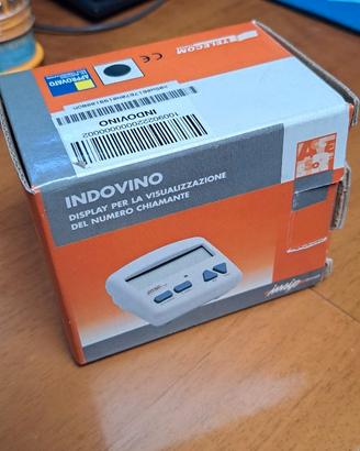 Indovino