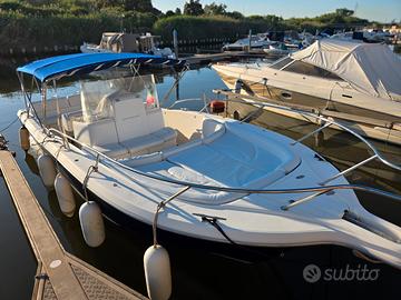 White shark 285 con 2x300 e-tec