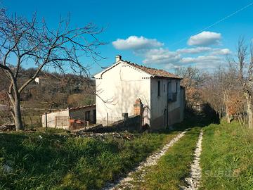 Complesso di fabbricati