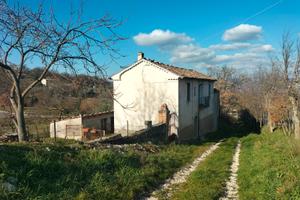 Complesso di fabbricati