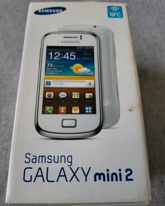 Samsung Galaxy Mini 2 