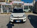 fiat-panda-1-2-gpl-2021-citylife