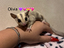 Immagine 4