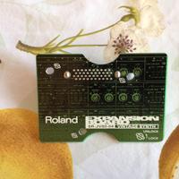 SCHEDA DI ESPANSIONE ROLAND SR-JV80-04