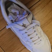 Scarpe nuove Cesare Paciotti