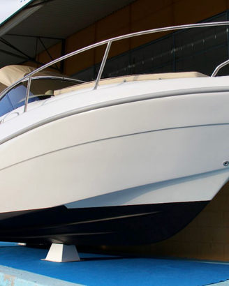 Saver 590+evinrude 115 E-tec 2020