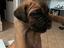 Immagine 5