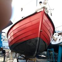 Barca a motore