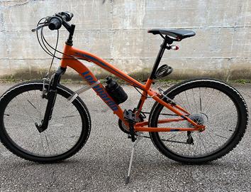 Mountain bike