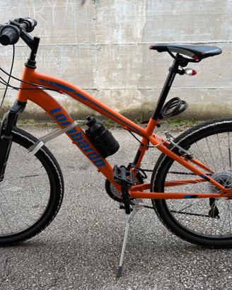 Mountain bike