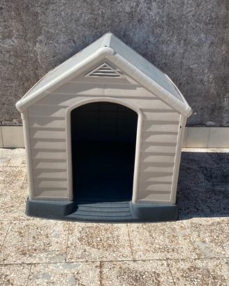 cuccia per cane