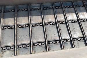 spandiletame Annovi Rs140