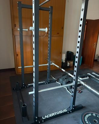 Power Rack Training Lacertosus