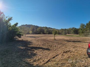 Terreno agricolo