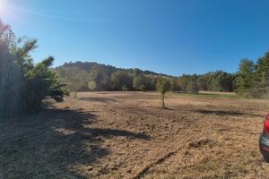 Terreno agricolo