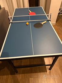 Tavolo da ping pong da interno