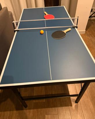Tavolo da ping pong da interno