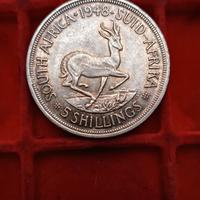 Sud Africa 5 Scellini 1948 Argento 800 George VI.