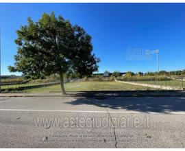 Terreno Agricolo Curtatone [A4329459]