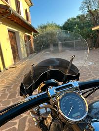 Cupolino per Harley Davidson