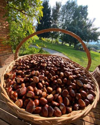 Castagne
