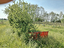 Immagine 29