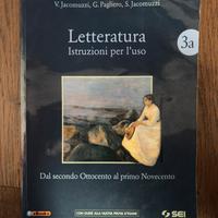 Letteratura - Dall'Ottocento a Oggi