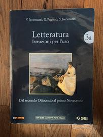 Letteratura - Dall'Ottocento a Oggi