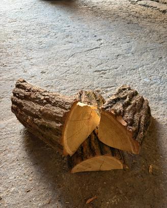 Legna da ardere di Robinia