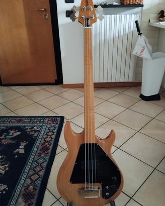Epiphone The Grabber