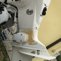 Fuoribordo Evinrude ETec90