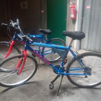 Due Mountain bike