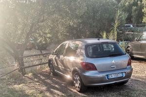Peugeot 307 hdi 1.6 con gancio traino omologato