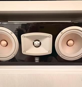 Diffusore Canale Centrale Yamaha NS-C444 - Nero