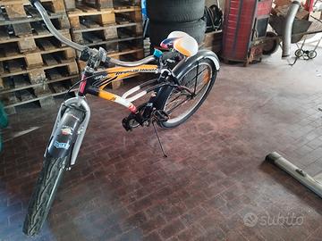 bicicletta 