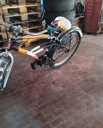 bicicletta 