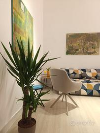 Studi professionali/uffici