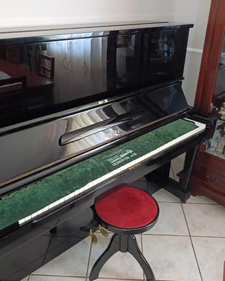 Pianoforte Wagner Hamamatsu