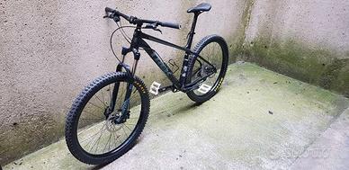 Trek Roscoe 7 