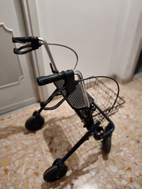 Deambulatore con olletor Termigea R06