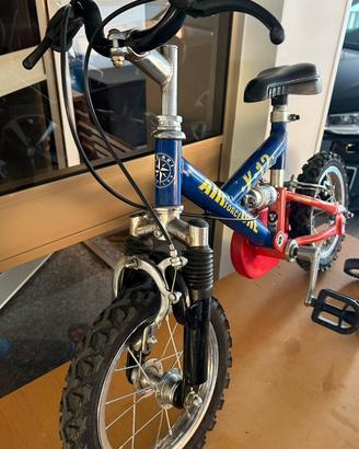 Bicicletta bambino 12