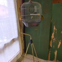 Gabbia voliera per uccelli