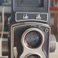 macchina fotografica a pozzetto 