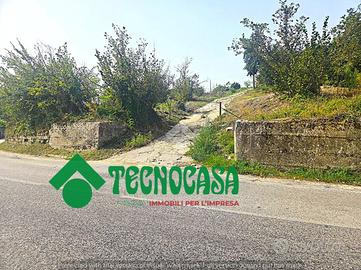 TERRENO A AVELLINO
